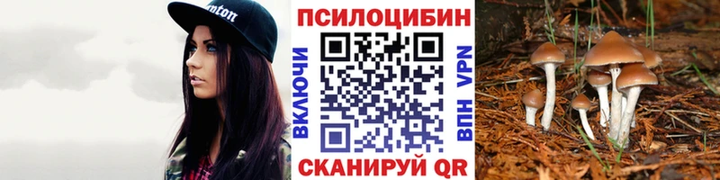 Псилоцибиновые грибы Cubensis  Байкальск 